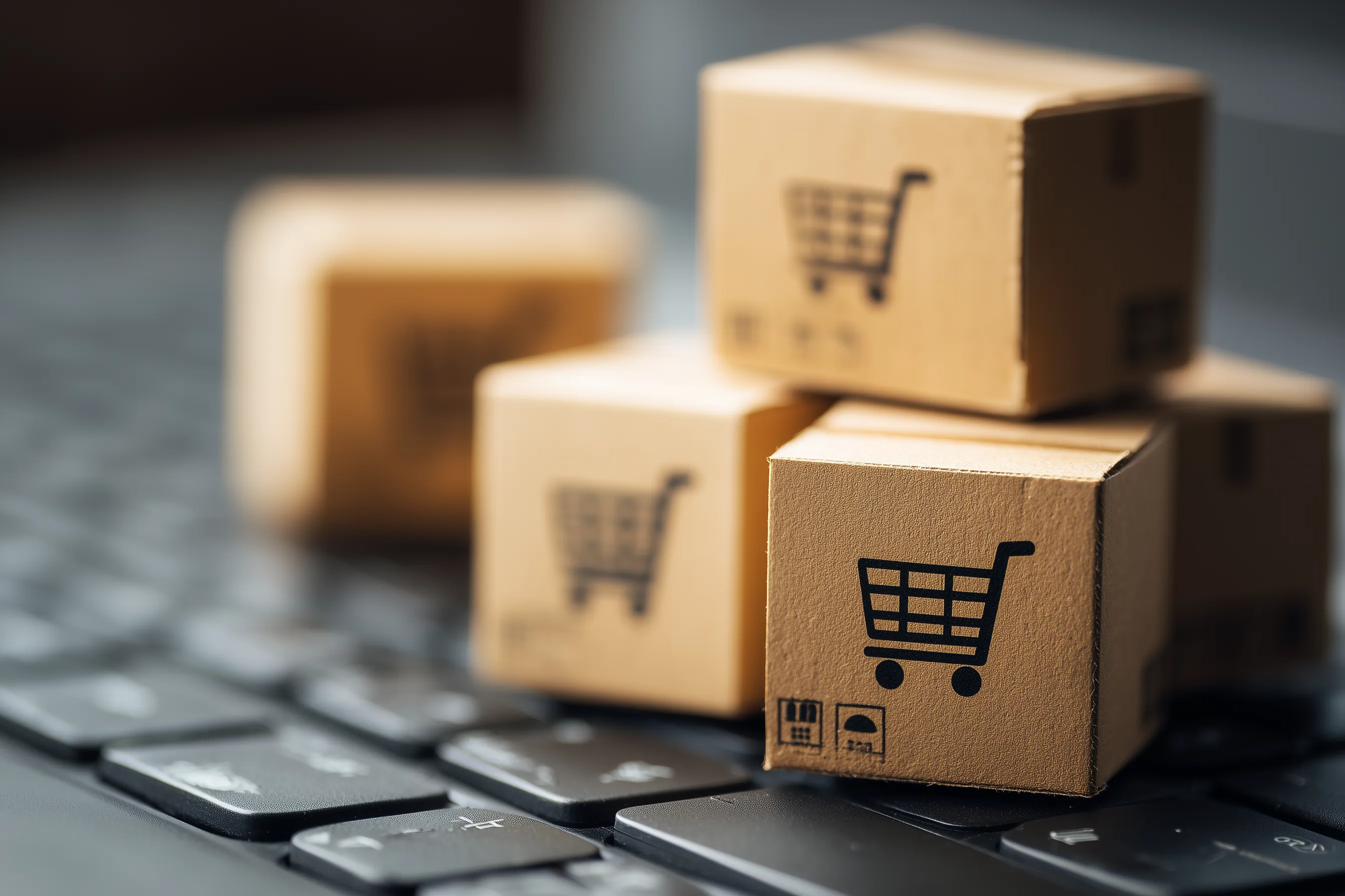 _online_shopping_ecommerce_and_delivery_service