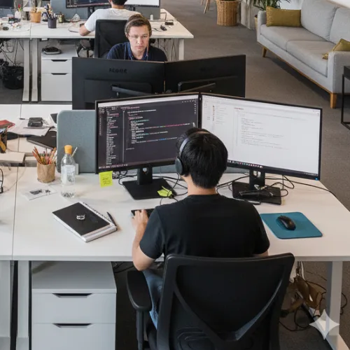 WordPress Devs