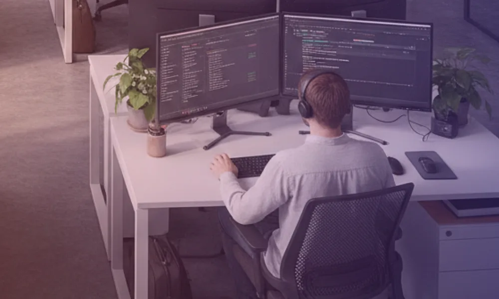 web developer