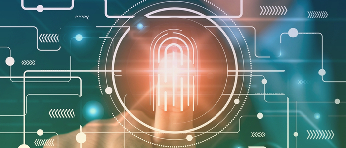 Unlocking Data Potential